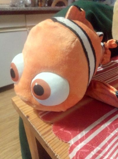 Plyšák Nemo