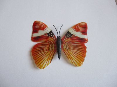 Magnet motýlek velký