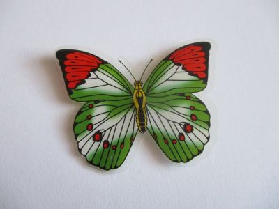 Magnet motýlek střední