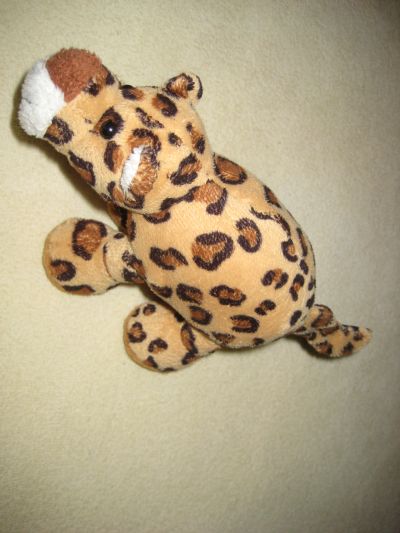 levhart - gepard