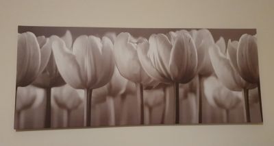 Pěkný fotoobraz na plátně s tulipány