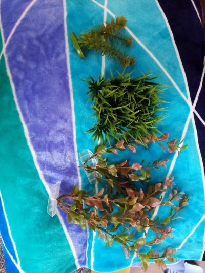Umělé rostliny do akvária