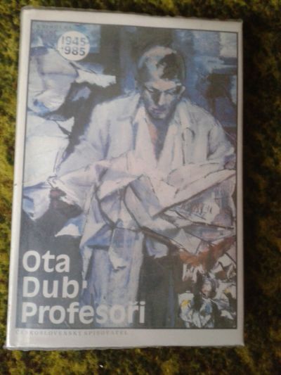 Kniha Ota Dub - Profesoři