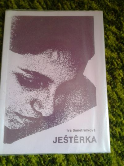 Kniha Ještěrka - Iva Senetrníková