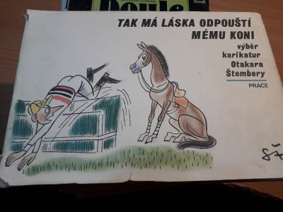 Tak má láska odpouští mému koni