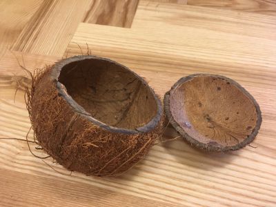 Skořápka od kokosu