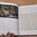Kniha Lesy v České republice