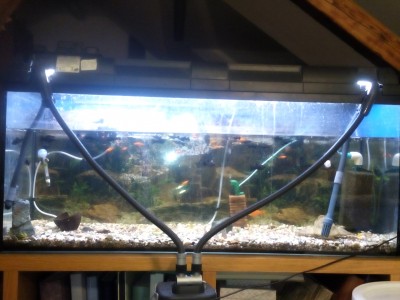 Daruji akvárium 120x50x40 cm (lepené černým silikonem)