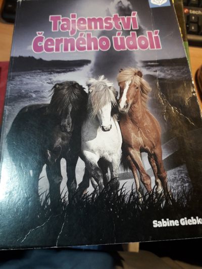 Tajemství Černého údolí