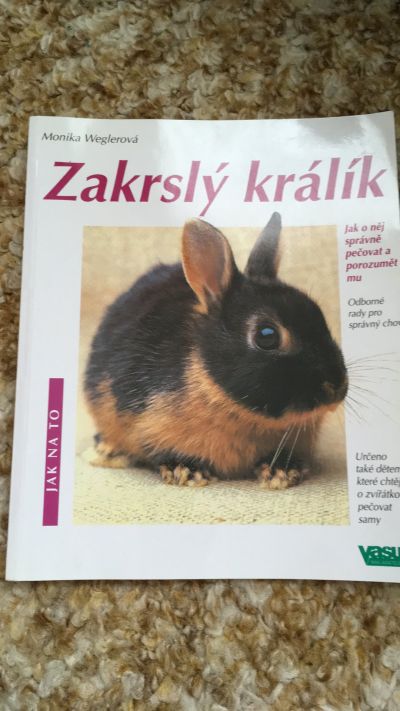 Kniha Zakrslý králík