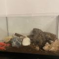 Darujem terárium