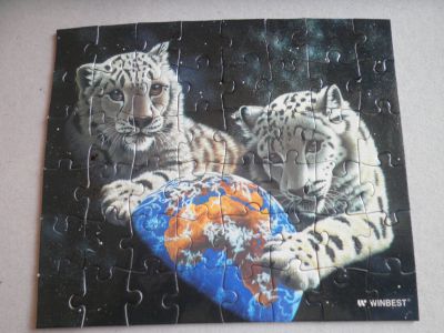 Puzzle Bílí tygři