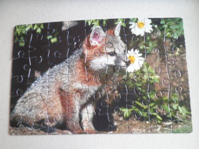 Puzzle Lištička