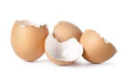 Sušené vaječné skořápky pro drůbež
