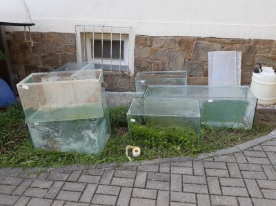 Nabízíme akvária různých velikostí.