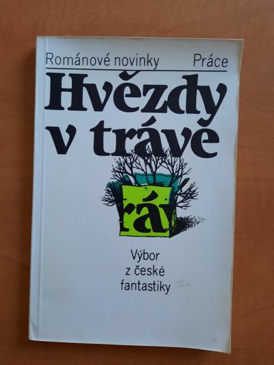 Hvězdy v trávě