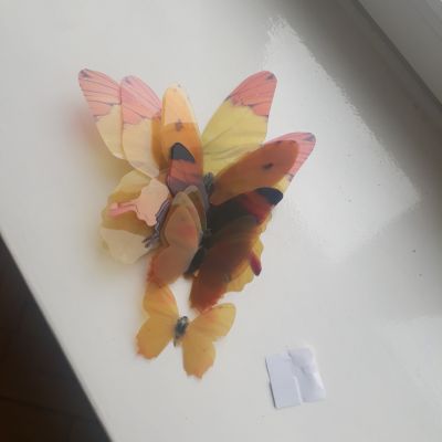 3D motýli
