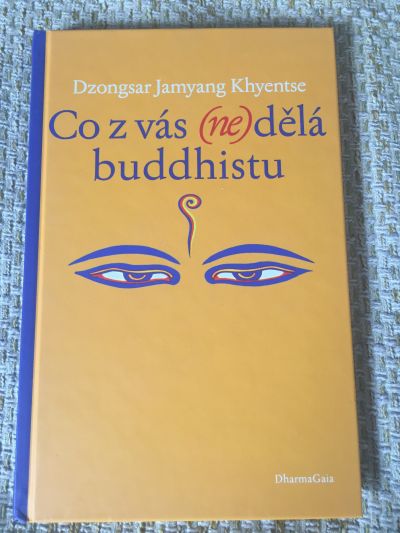 Kniha: Co z vás (ne)dělá buddhistu