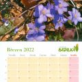 Kalendář Bazalka 2022