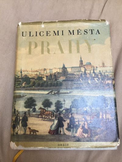 Kniha: Ulicemi města Prahy