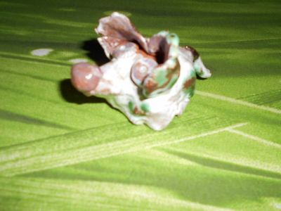 Keramika myš