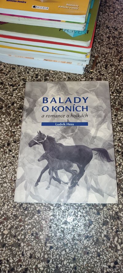 Balady o koních a romance o holkách