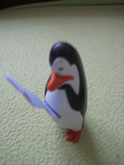 začtený tučňák
