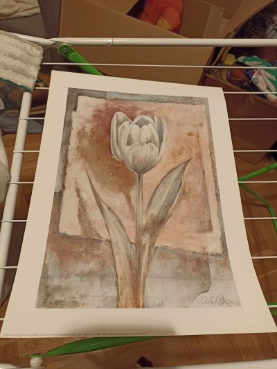 Tisk květina Cesare Carra