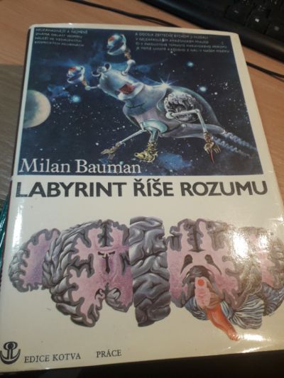 Labyrint říše rozumu