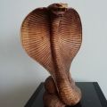 Dřevěná kobra