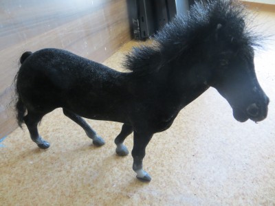 Hračka koník černý - cca 20 cm