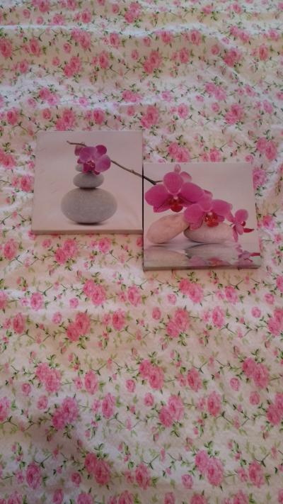 2 obrázky IKEA motiv orchideje