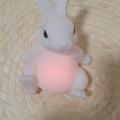 Svítivý barvy měnící králíček na baterky :)