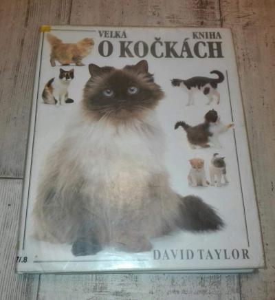 Kniha Kočky