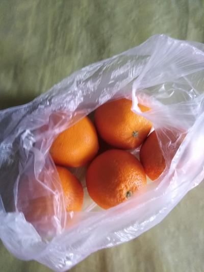 Pomeranče pro Miladku
