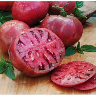 Semínka rajče Cherokee Purple