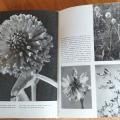 F. A. Novák, Velký obrazový atlas rostlin