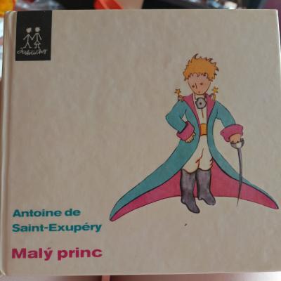 Malý princ kniha
