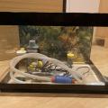 3 mensi Akvaria akvaristika komplet topitka svetla filtry