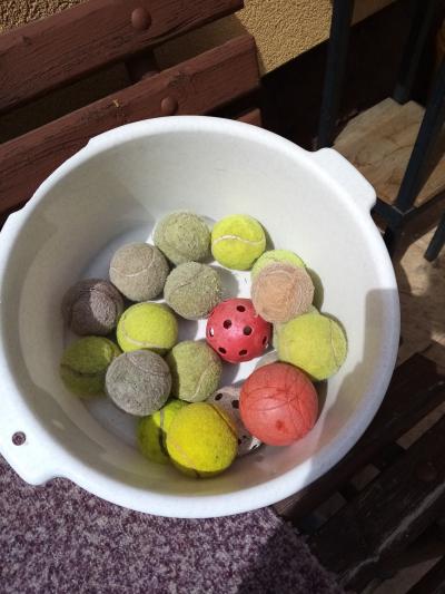 vyprané míčky pro pejsky