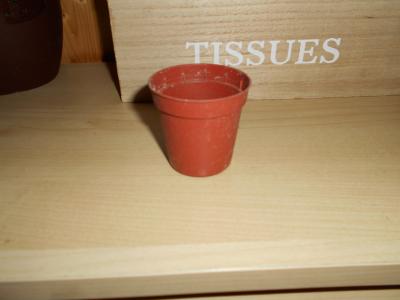 Mini květináček plast