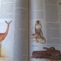 Kniha Zvířata Afriky