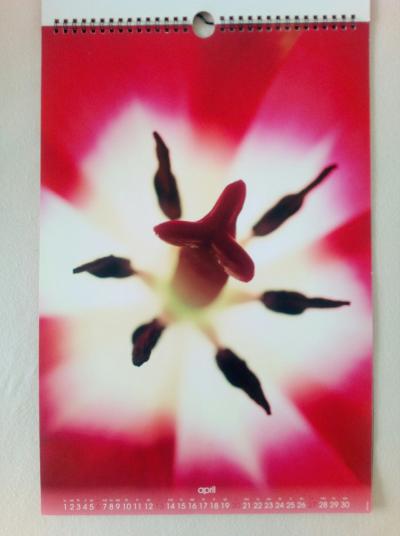 Starý kalendářA3 tulipány