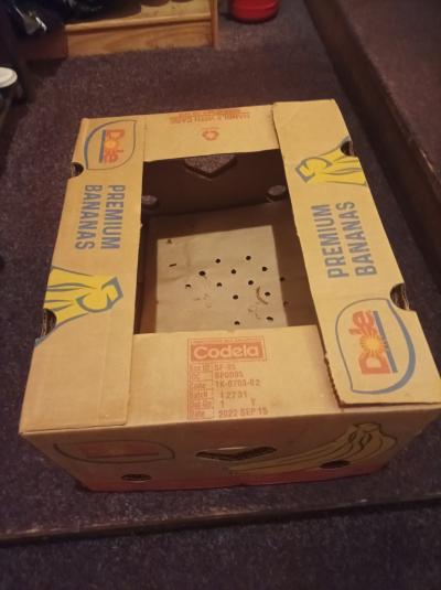 Krabice na stěhování/skladování - od banánů