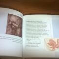 Kniha Těhotenství dne za dnem