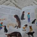 Kniha "Výcvik psa do kapsy"