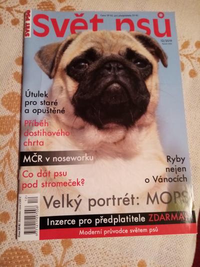 pejsek 1 MOPS