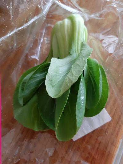 Pak choi 1 ks