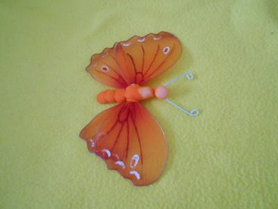 Motýl oranžový