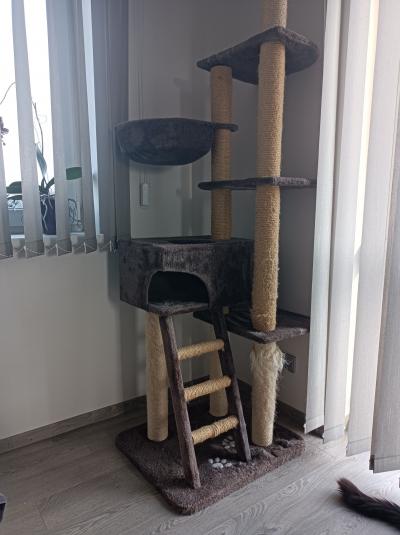 Použité kočičí škrabadlo